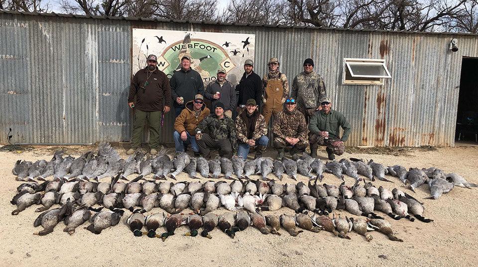 canada goose hunting in us